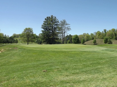Hole #5 Green