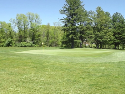 Hole #6 Green