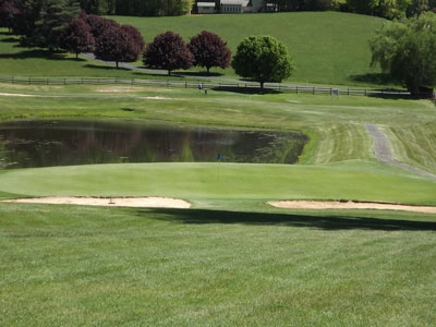 Hole #12 Fairway