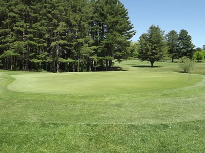 Hole #12 Green